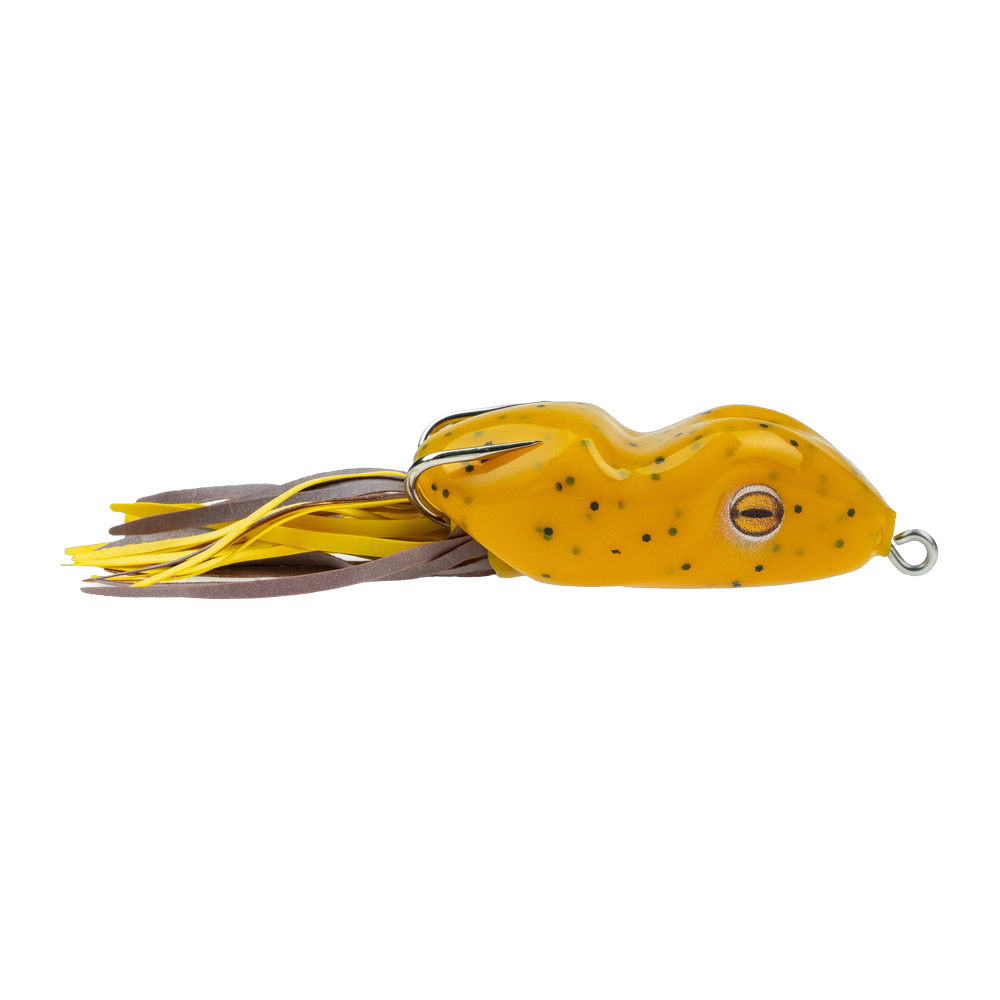 Scum Frog Original - Pumpkin Seed