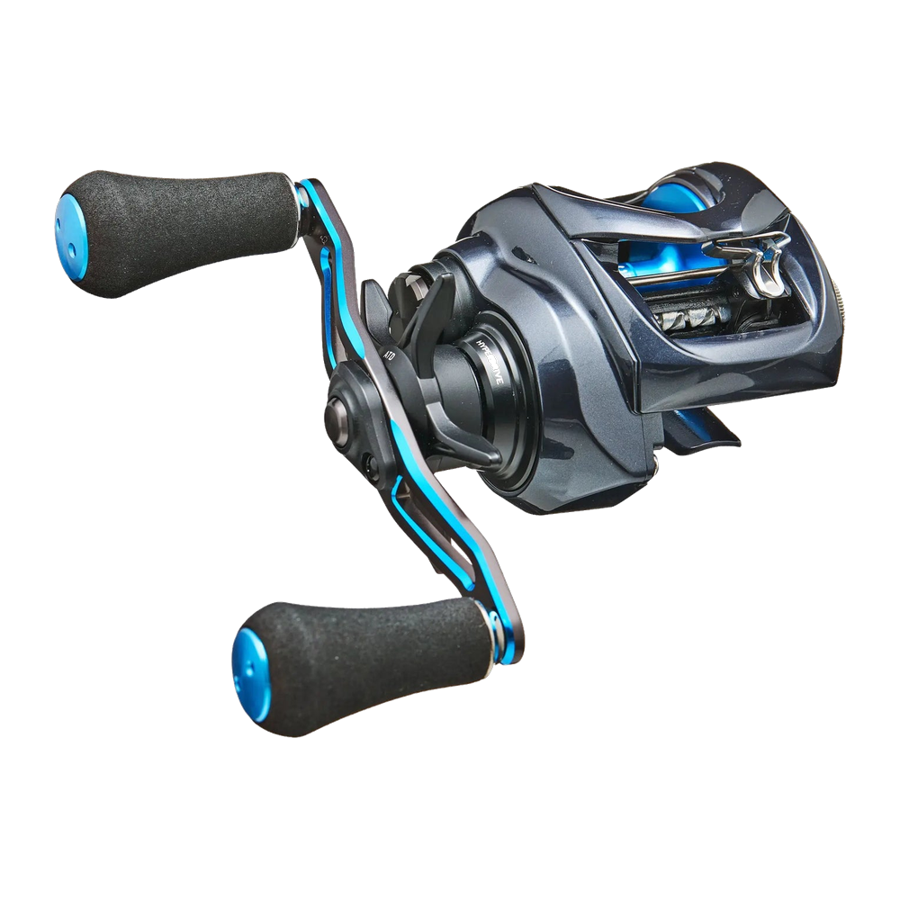 Daiwa Coastal TW 200 Casting Reel
