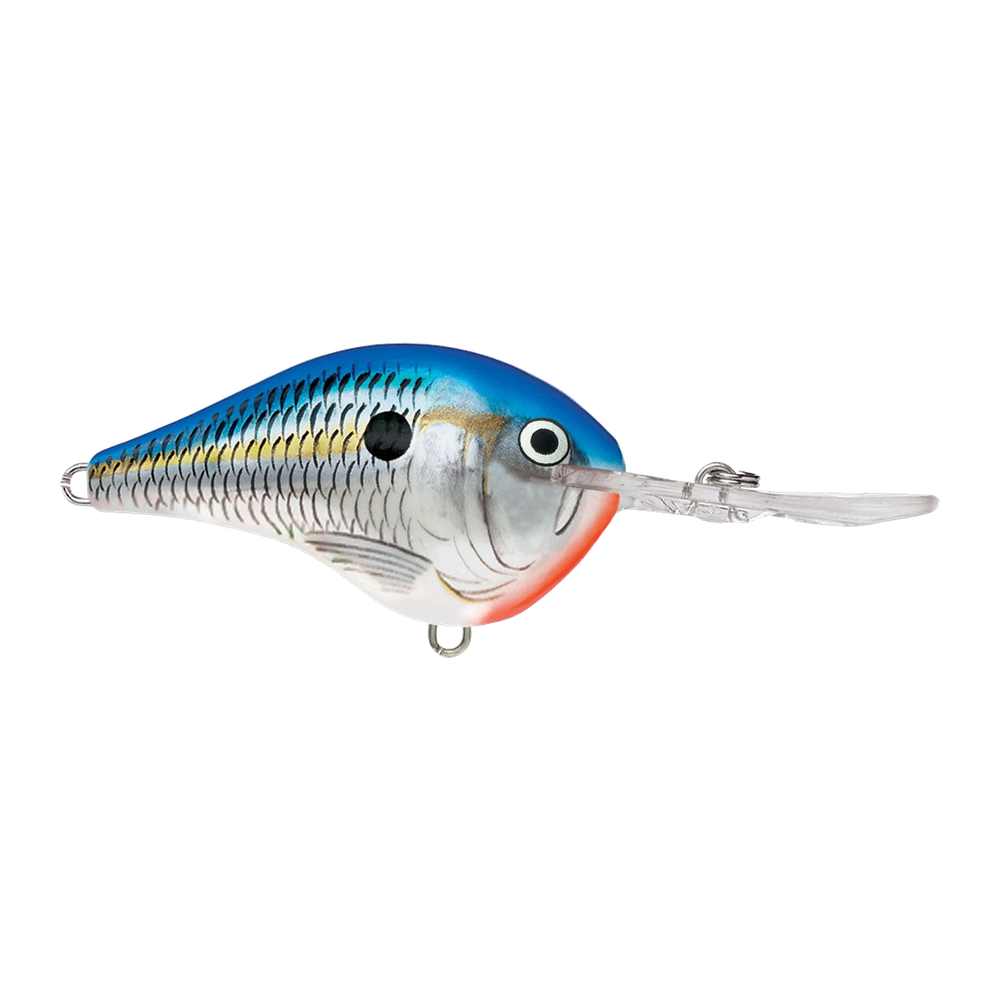 Rapala DT-10 - Blue Shad