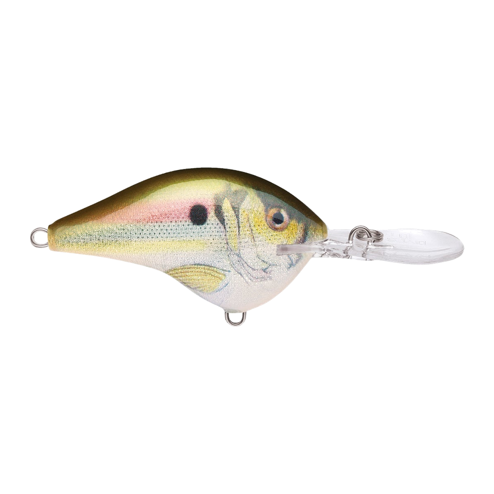 Rapala DT-10 - Live River Shad