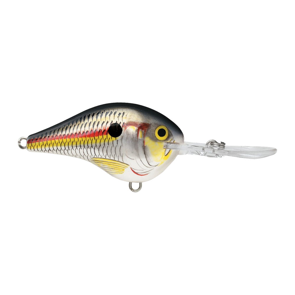 Rapala DT-10 - Shad