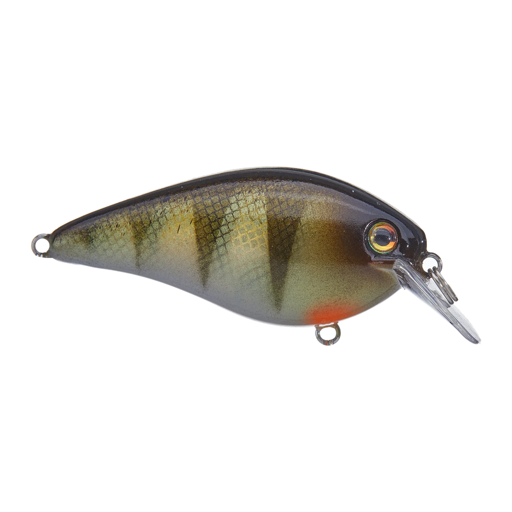 Strike King KVD 1.5 HC Squarebill Silent Crankbait - Yellow Perch