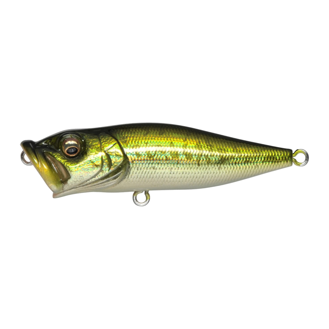 Megabass Pop X - GG BASS