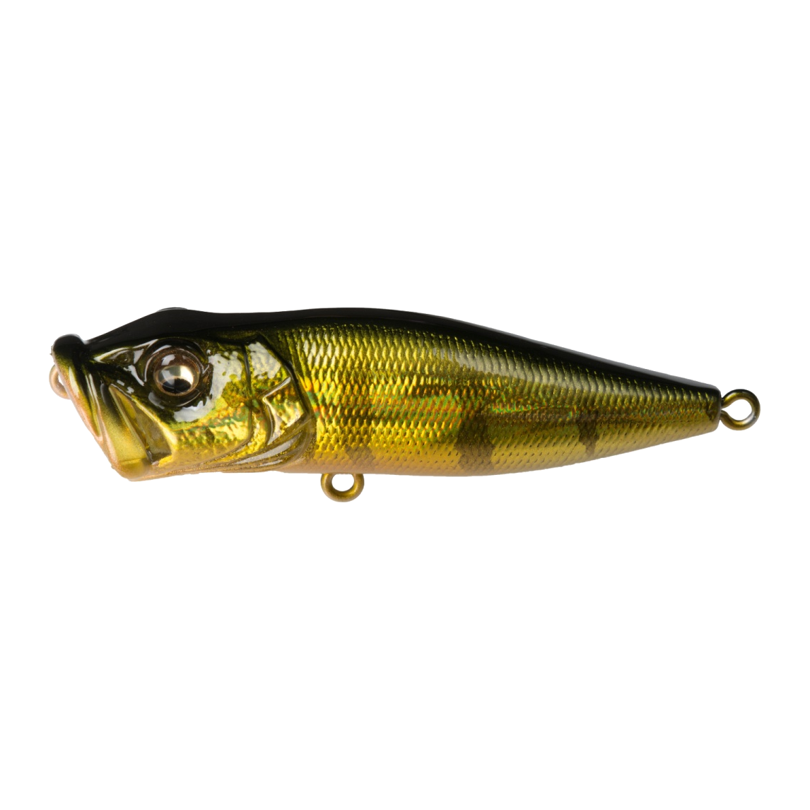 Megabass Pop X - GG PERCH