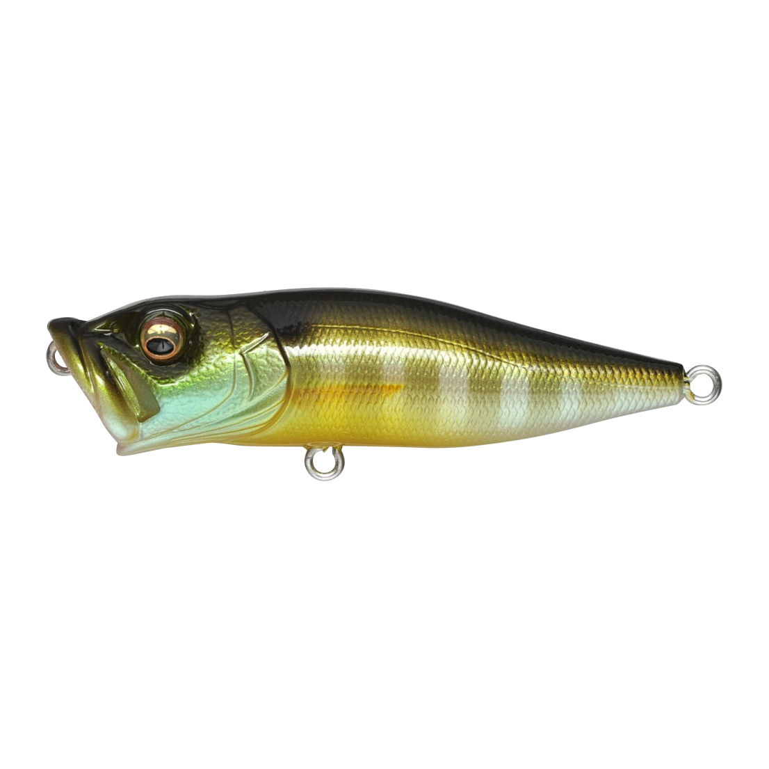 Megabass Pop X - GILL