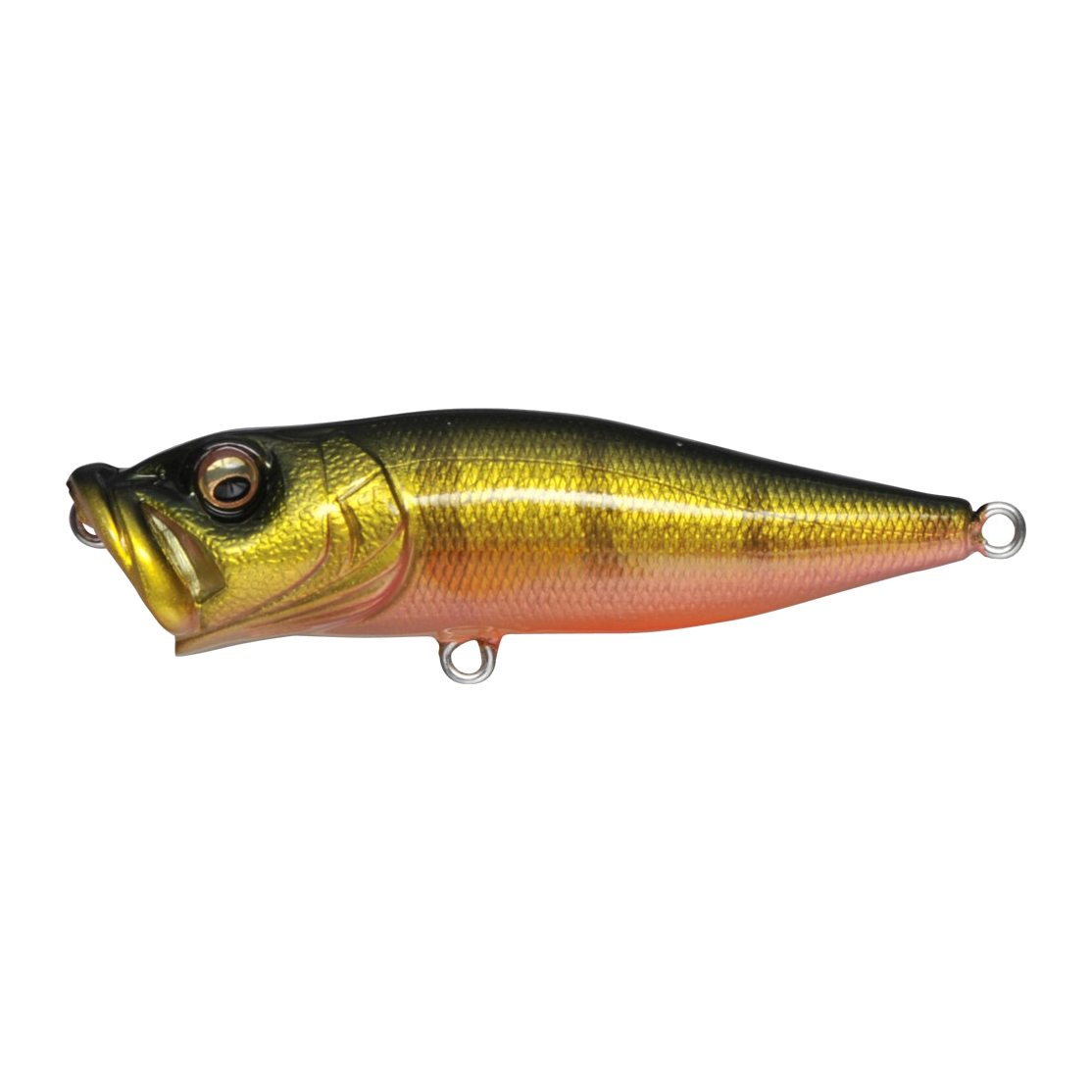 Megabass Pop X - PERCH