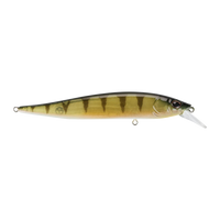 Berkley Stunna 100 - Perch