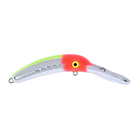 Mag Lip 3.0 - Silver FLR Head CHR Back Silver Clown