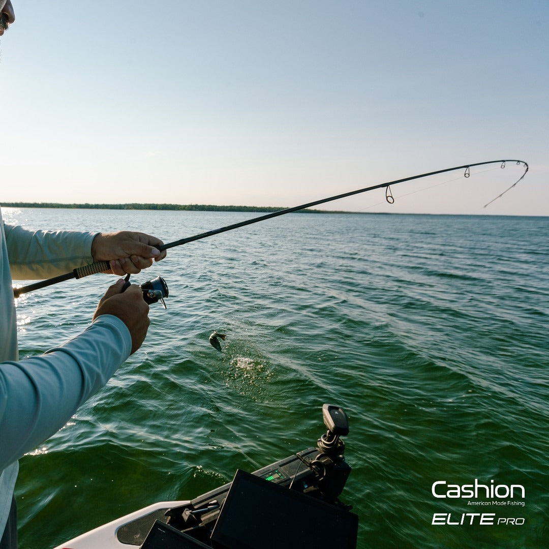 Angler fighting a bass on a Cashion Elite Pro rod