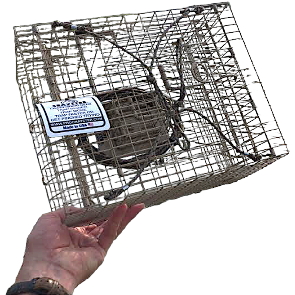 Crayster Box Trap - Small