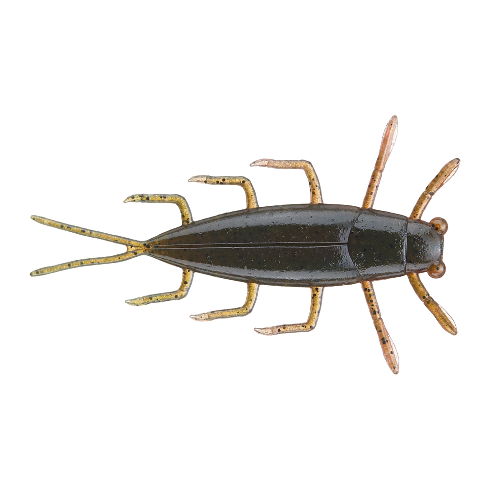 Evergreen Geezy - Tiny Crawdad