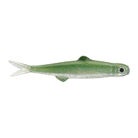 Evergreen Last Ace 45mm - #156 Reservoir Fry