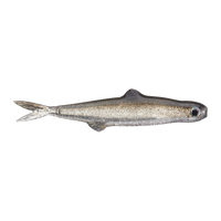 Evergreen Last Ace 45mm - #57 Trick Shad