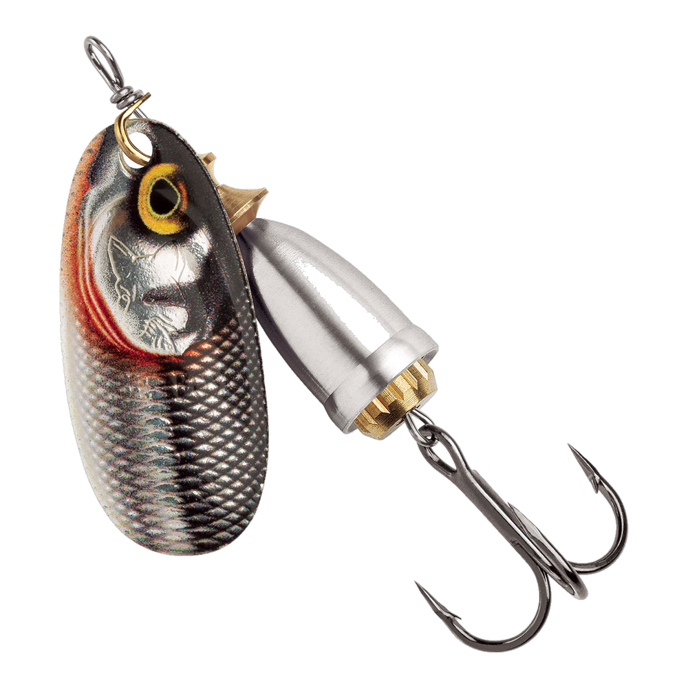 Blue Fox Classic Vibrax Spinner #1 - Gilded  Silver