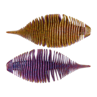 Geecrack Bellows Gill - Bug Bomb