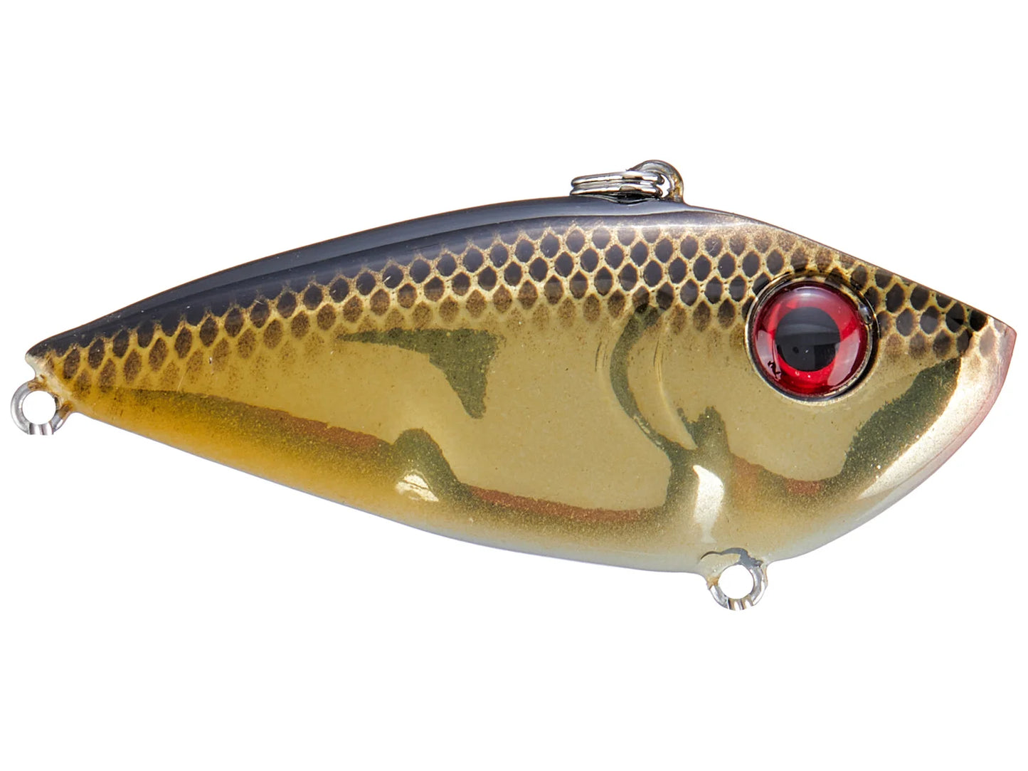 Red Eye Shad