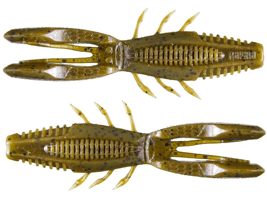 Rapala Crush City Bronco Bug