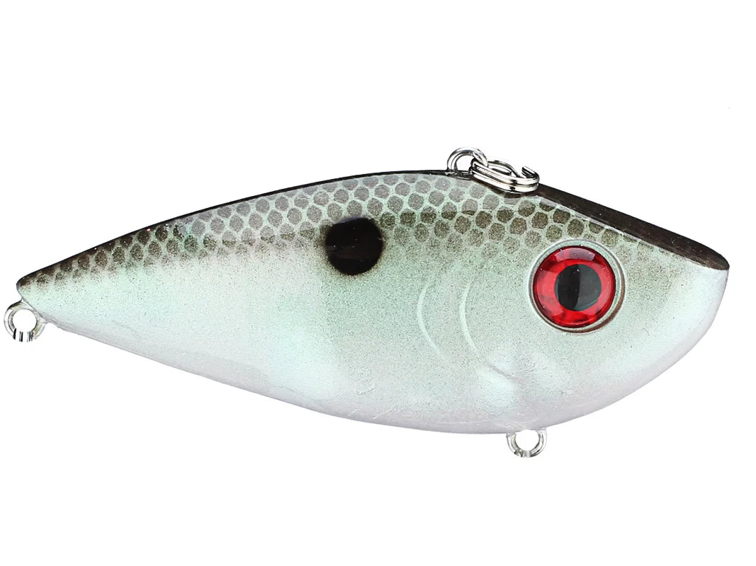 Red Eye Shad