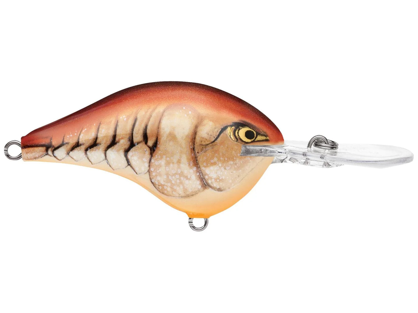 Rapala DT12 Series Crankbaits