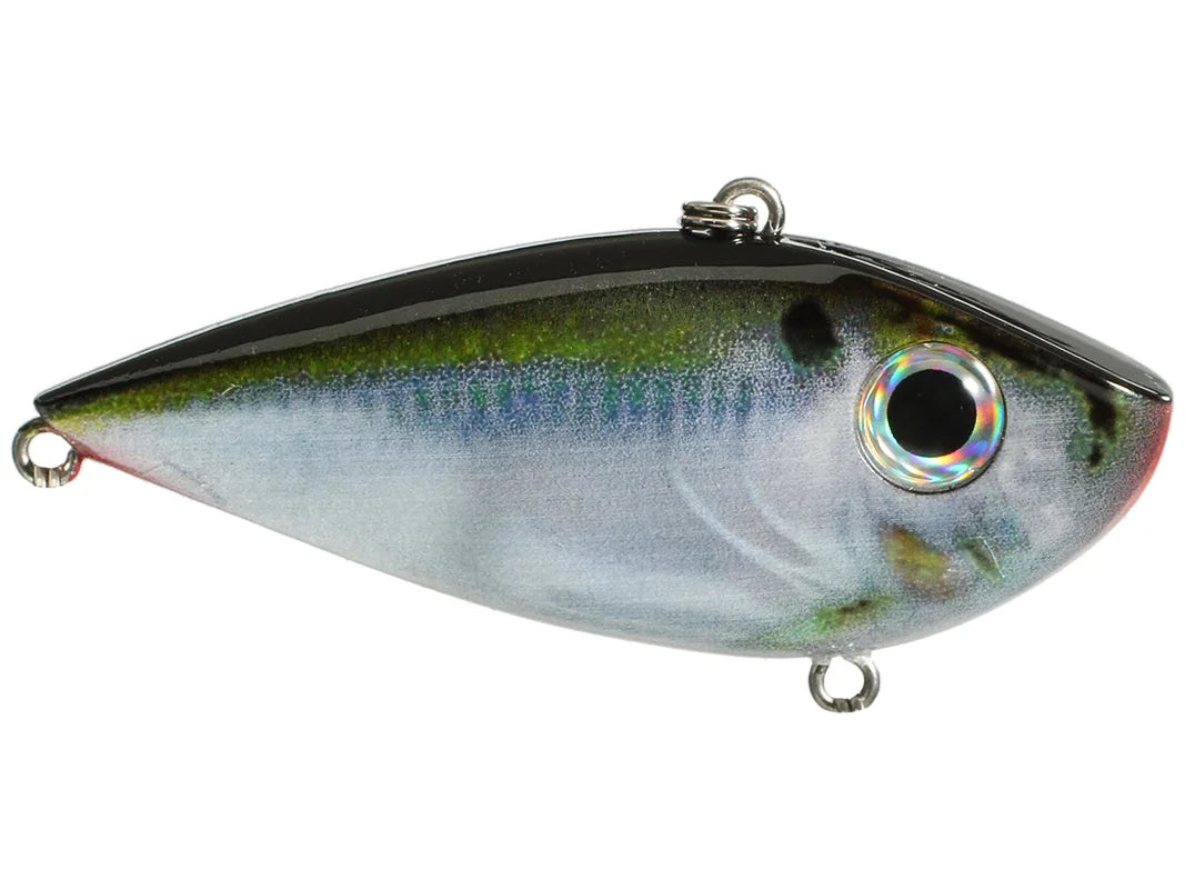 Red Eye Shad