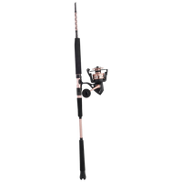 Penn Passion® II Spinning Combo 7ft Medium - PASII6000661MH