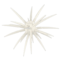 Crush City The CEO Urchin Bait - Whitebait