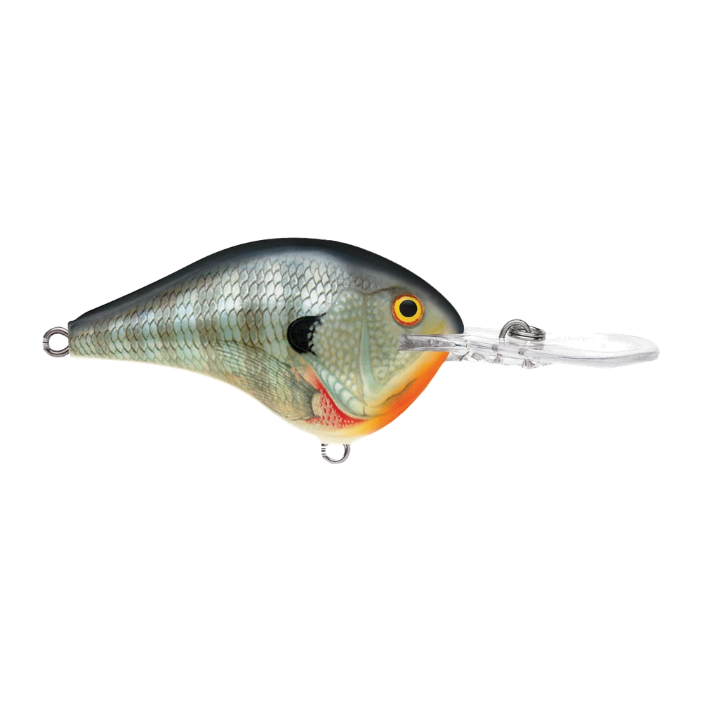 Rapala DT12 Series Crankbaits - Bluegill