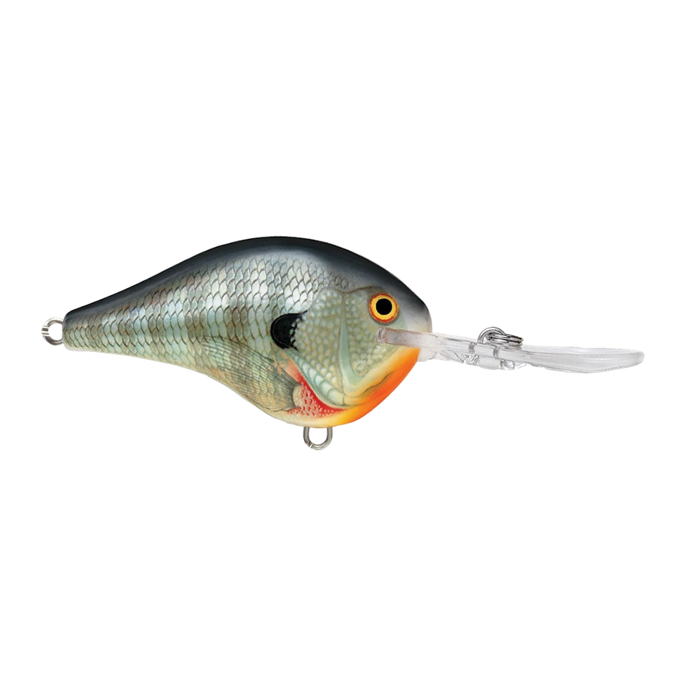 Rapala DT-10 - Bluegill