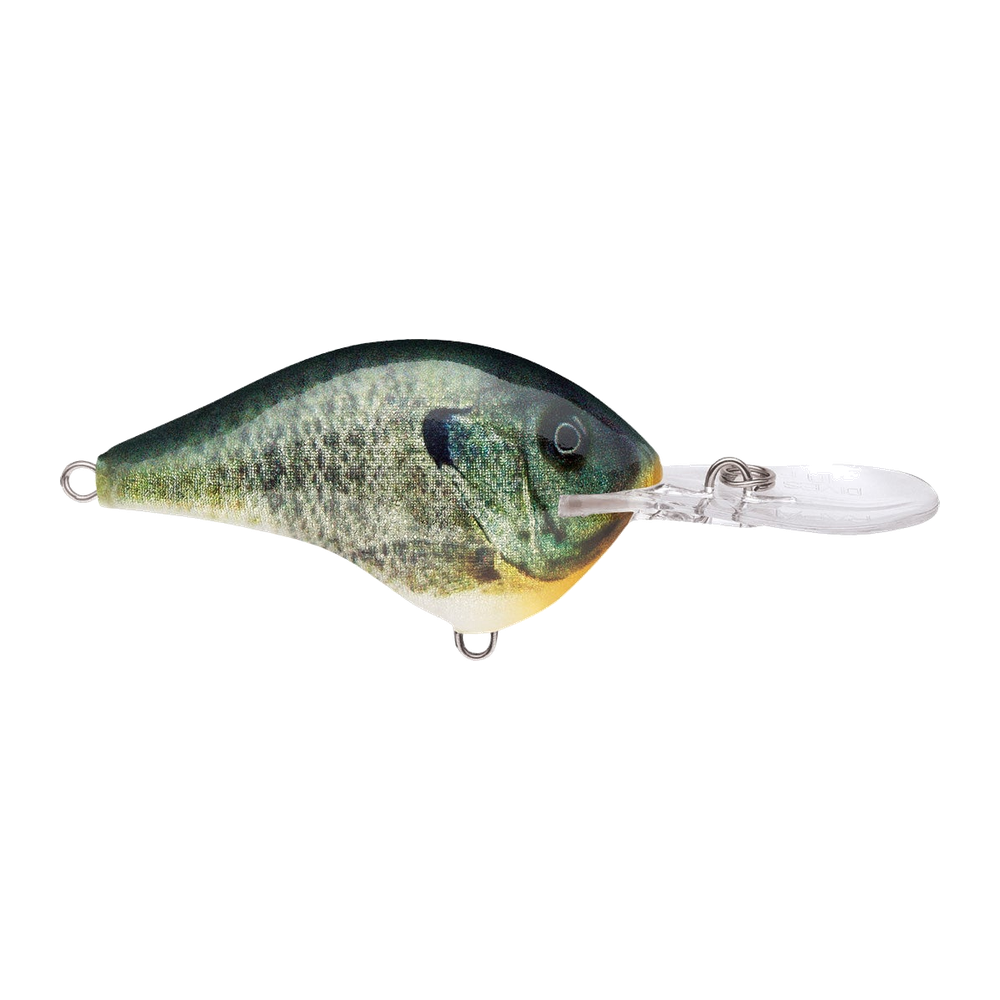 Rapala DT-10 - Live Bluegill