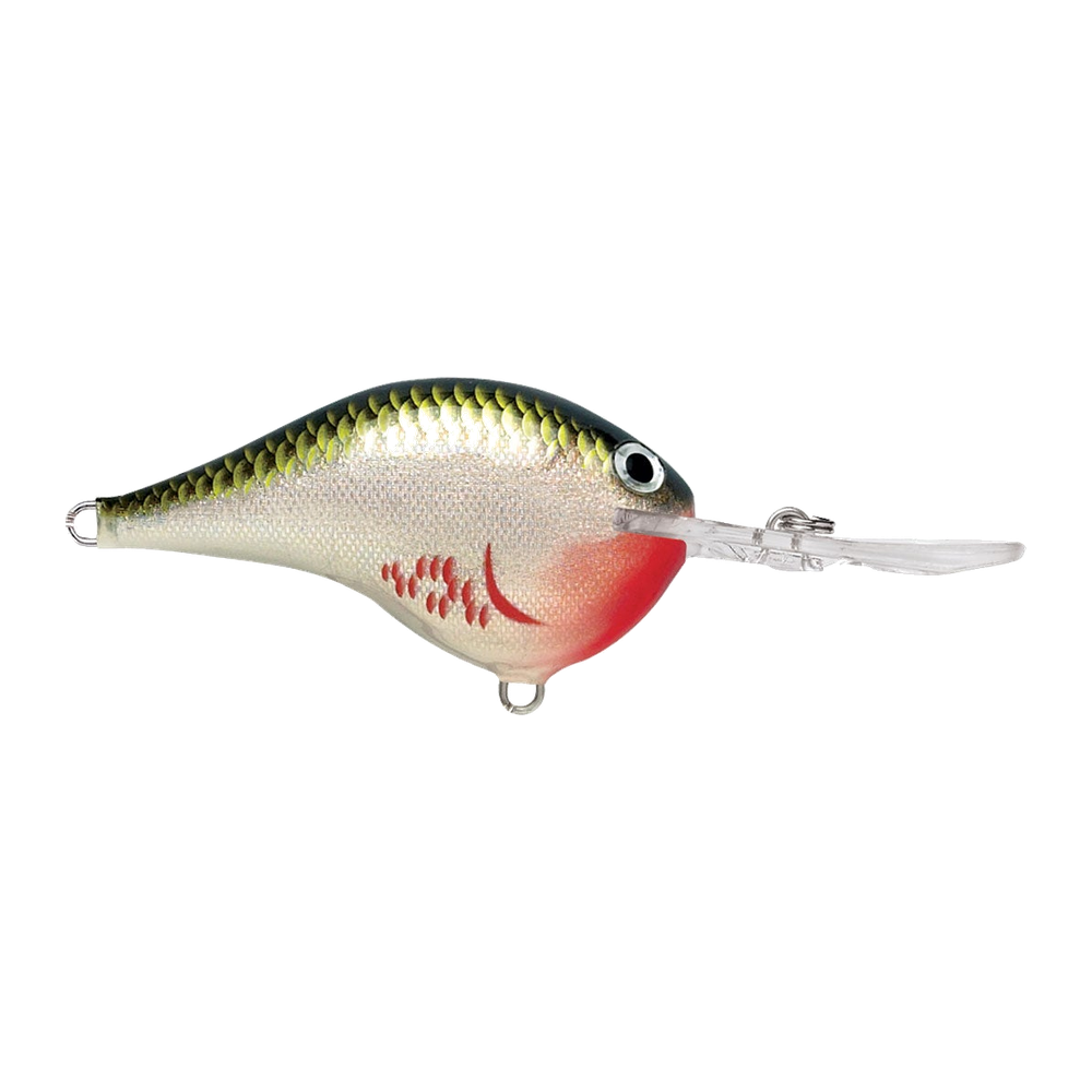 Rapala DT-10 - Bleeding Olive Shiner