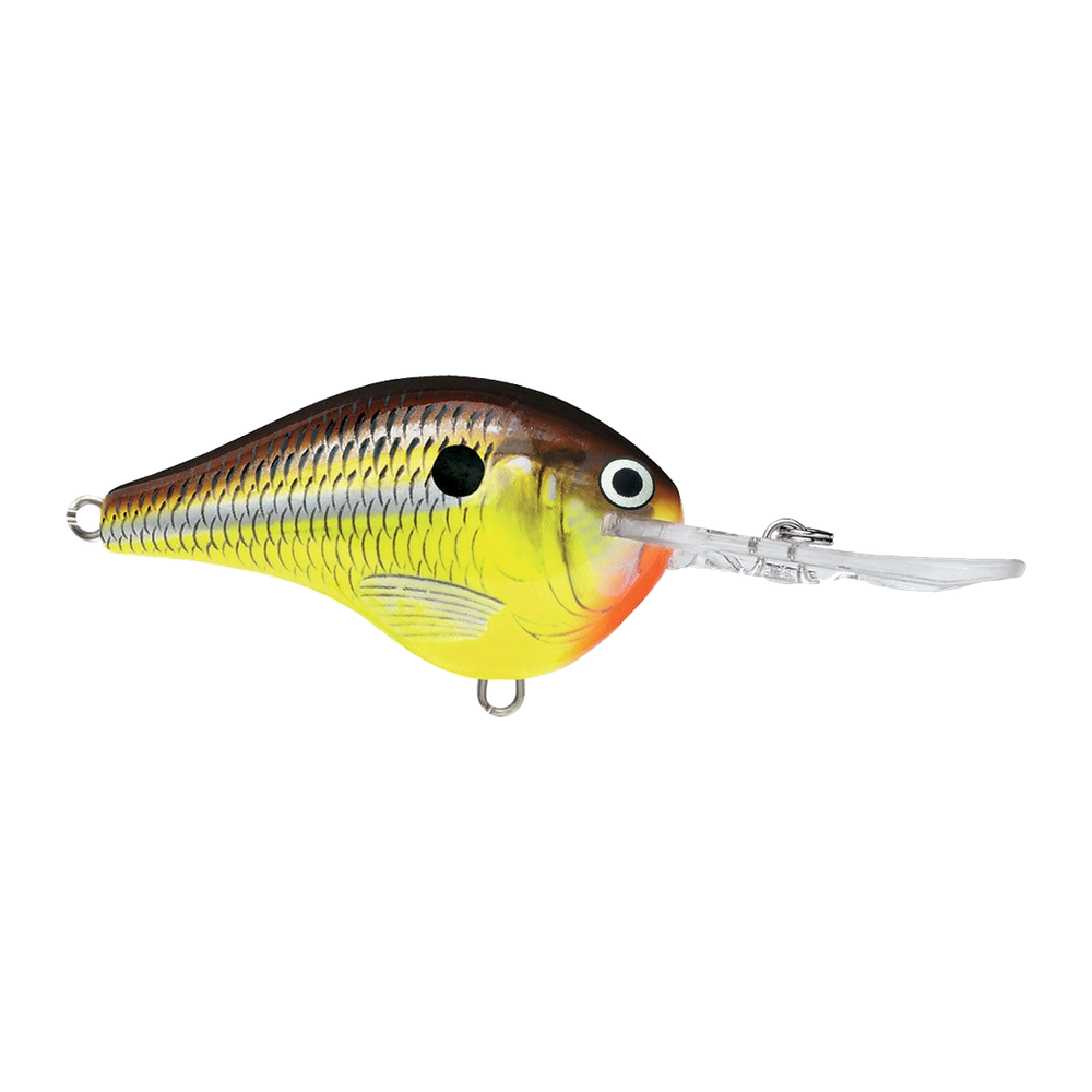 Rapala DT-10 - Hot Mustard