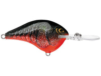 Rapala DT12 Series Crankbaits