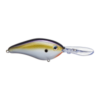 Strike King Pro-Model 6 XD Crankbait