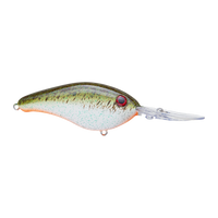 Strike King Pro-Model 6 XD Crankbait