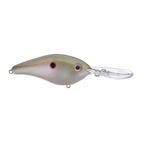 Strike King Pro-Model 6 XD Crankbait