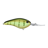 Strike King Pro-Model 6 XD Crankbait - Chart Perch