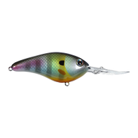 Strike King Pro-Model 6 XD Crankbait