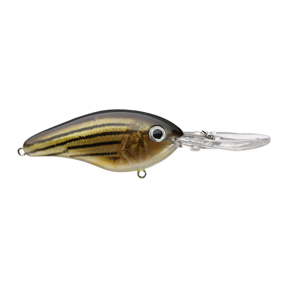 Strike King Pro-Model 6 XD Crankbait