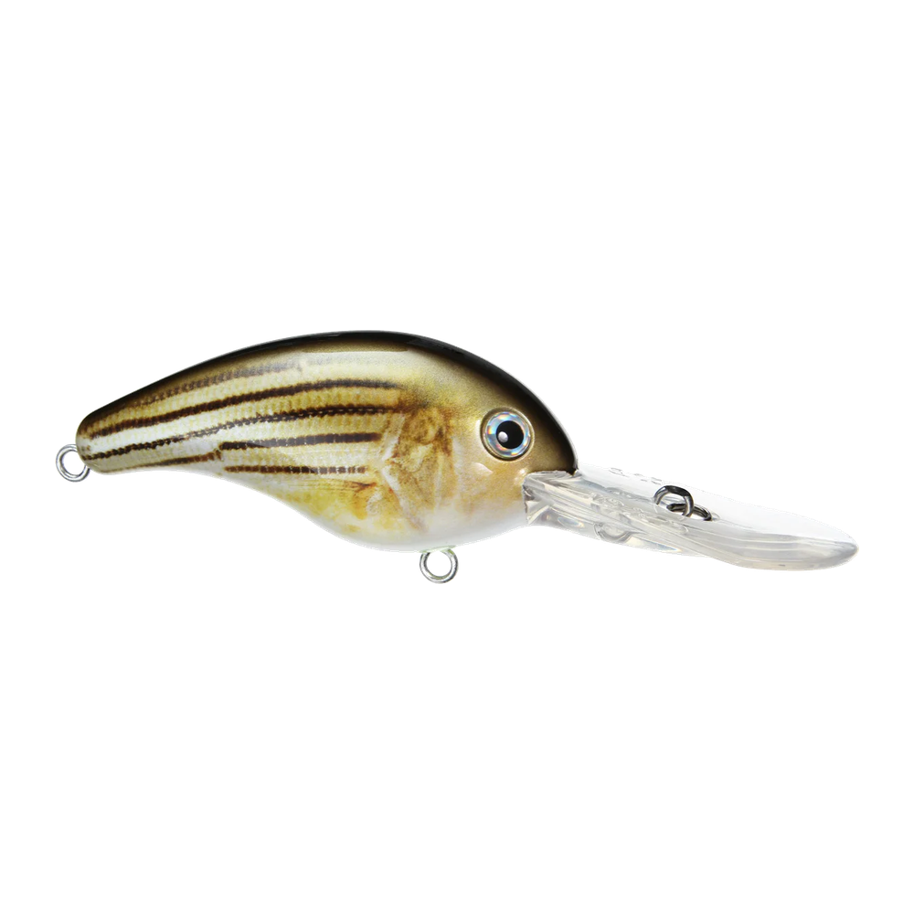 Strike King Pro-Model 10 XD - Barfish