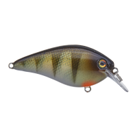 Strike King KVD 1.5 HC Squarebill Silent Crankbait - Yellow Perch