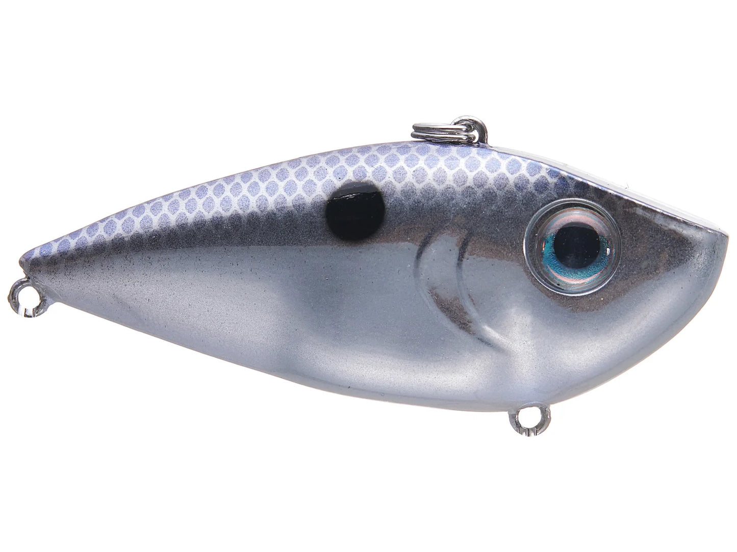 Red Eye Shad